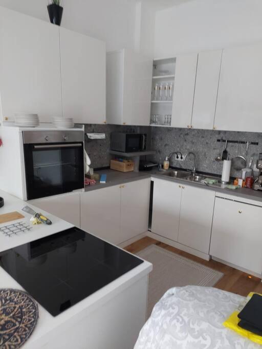 Stilvolle Wohnung Mit Terrasse/Garten Vienne Extérieur photo